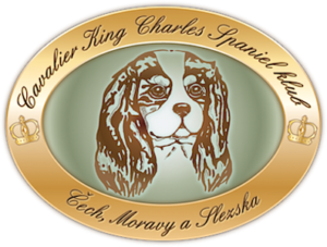 Logo: Cavalier king Charles spaniel klub Čech, Moravy a Slezska