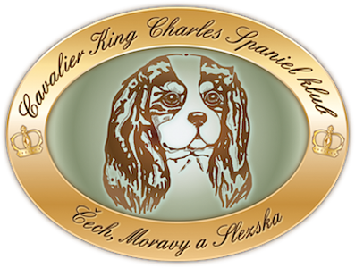 Logo: Cavalier king Charles spaniel klub Čech, Moravy a Slezska