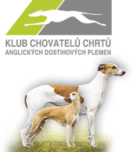 Logo: Klub chovatelů chrtů anglických dostihových plemen, z. s.