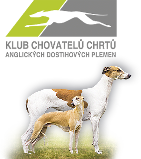 Logo: Klub chovatelů chrtů anglických dostihových plemen, z. s.