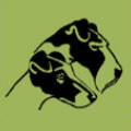 Logo: Klub chovatelů foxterierů České republiky z. s.