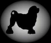Logo: Lvíček klub ČR