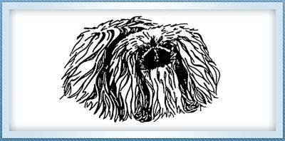 Logo: Pekinéz klub, z. s.