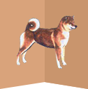 Logo: Shiba klub ČR, z. s.