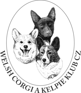 Logo: Welsh corgi a kelpie klub CZ, zapsaný spolek