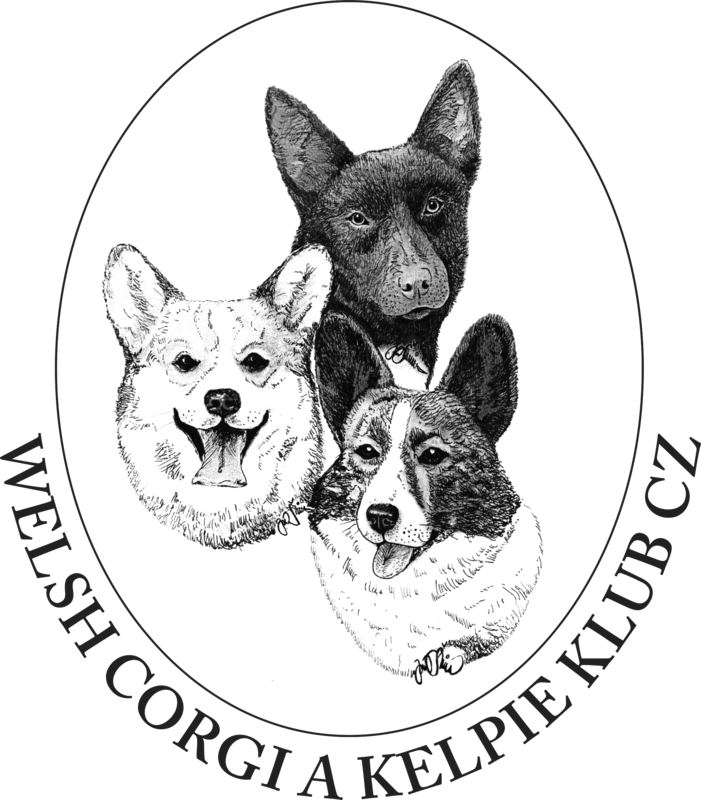 Logo: Welsh corgi a kelpie klub CZ, zapsaný spolek